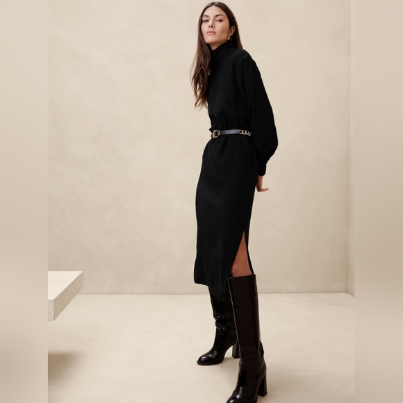 Banana Republic Riya dress M tall - Picture 1 of 5